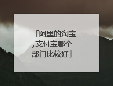 阿里的淘宝,支付宝哪个部门比较好