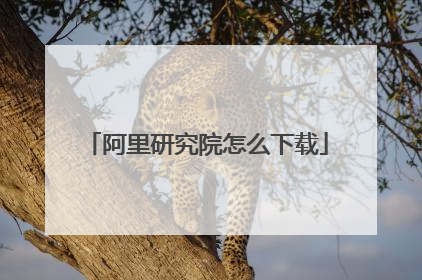 阿里研究院怎么下载
