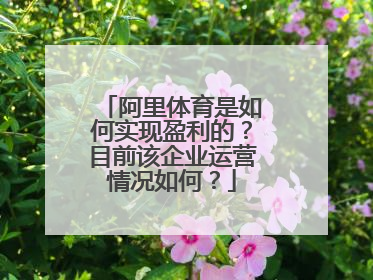 阿里体育是如何实现盈利的?目前该企业运营情况如何?