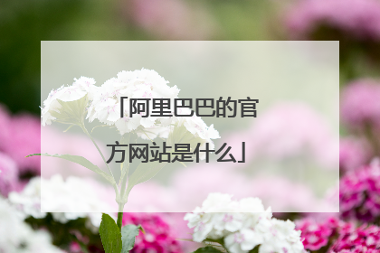 阿里巴巴的官方网站是什么