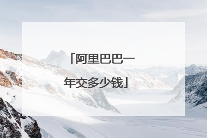 阿里巴巴一年交多少钱
