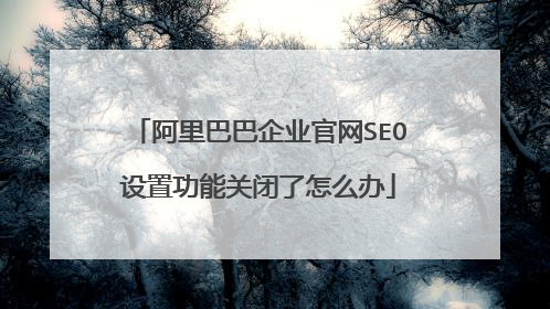 阿里巴巴企业官网SEO设置功能关闭了怎么办
