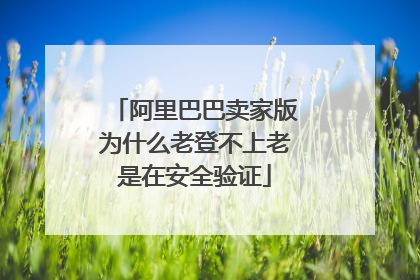 阿里巴巴卖家版为什么老登不上老是在安全验证