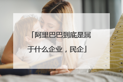 阿里巴巴到底是属于什么企业,民企