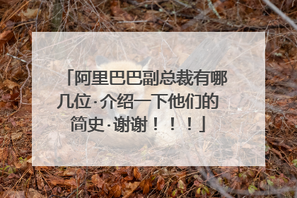 阿里巴巴副总裁有哪几位·介绍一下他们的简史·谢谢!!!