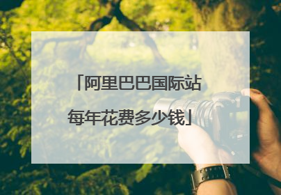 阿里巴巴国际站每年花费多少钱