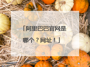 阿里巴巴官网是哪个?网址!