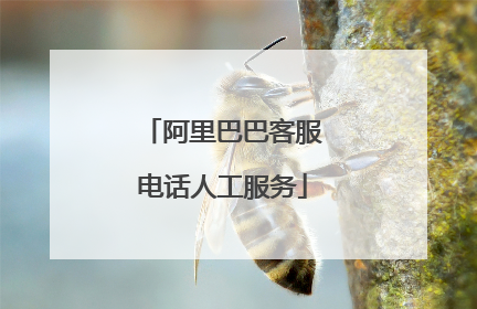阿里巴巴客服电话人工服务