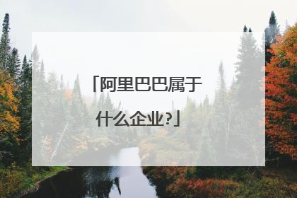 阿里巴巴属于什么企业?