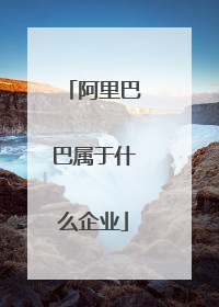 阿里巴巴属于什么企业
