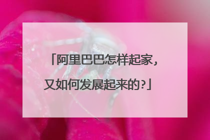 阿里巴巴怎样起家,又如何发展起来的?