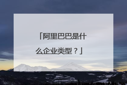 阿里巴巴是什么企业类型?