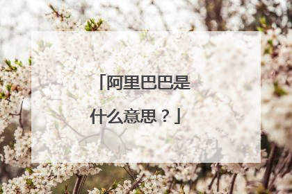 阿里巴巴是什么意思?