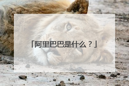 阿里巴巴是什么?