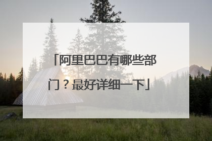 阿里巴巴有哪些部门?最好详细一下