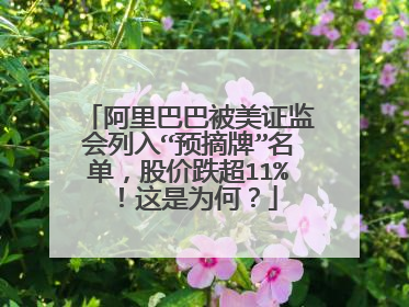 阿里巴巴被美证监会列入“预摘牌”名单,股价跌超11%!这是为何?