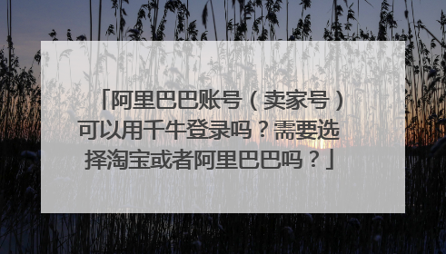 阿里巴巴账号(卖家号)可以用千牛登录吗?需要选择淘宝或者阿里巴巴吗?