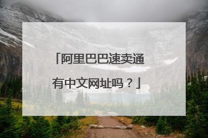阿里巴巴速卖通 有中文网址吗?