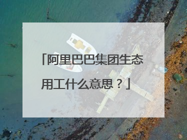 阿里巴巴集团生态用工什么意思?