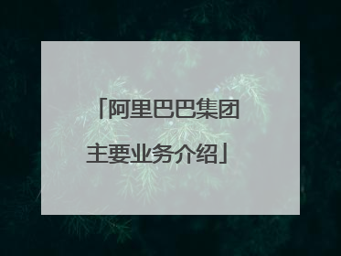 阿里巴巴集团主要业务介绍