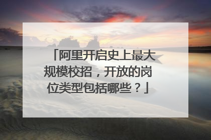 阿里开启史上最大规模校招,开放的岗位类型包括哪些?