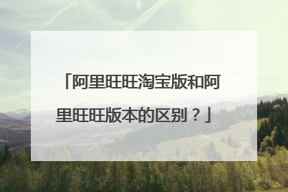 阿里旺旺淘宝版和阿里旺旺版本的区别?