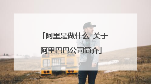 阿里是做什么 关于阿里巴巴公司简介