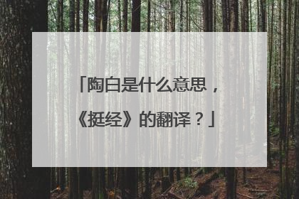 陶白是什么意思,《挺经》的翻译?