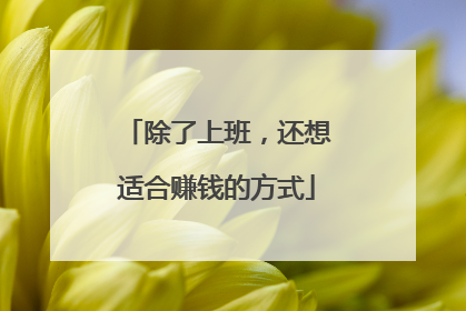 除了上班,还想适合赚钱的方式