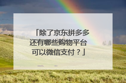 除了京东拼多多还有哪些购物平台可以微信支付?