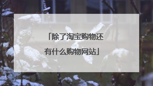 除了淘宝购物还有什么购物网站