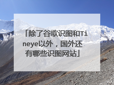 除了谷歌识图和Tineye以外,国外还有哪些识图网站