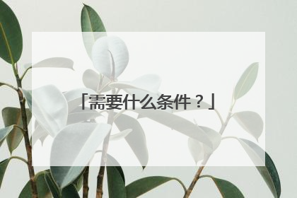 需要什么条件?