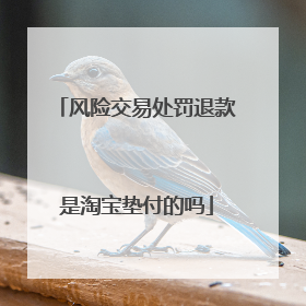 风险交易处罚退款是淘宝垫付的吗