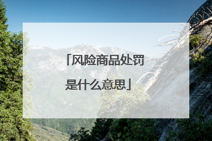 风险商品处罚是什么意思