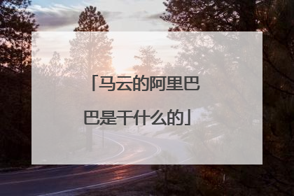 马云的阿里巴巴是干什么的