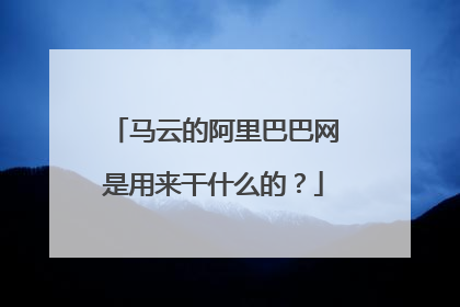 马云的阿里巴巴网是用来干什么的?