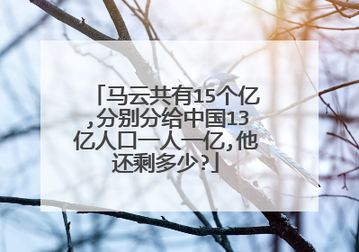 马云共有15个亿,分别分给中国13亿人口一人一亿,他还剩多少?