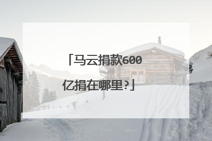 马云捐款600亿捐在哪里?