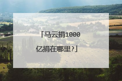 马云捐1000亿捐在哪里?
