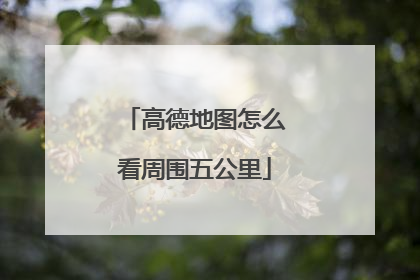 高德地图怎么看周围五公里
