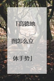 高德地图怎么立体手势