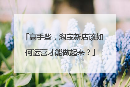 高手些，淘宝新店该如何运营才能做起来？