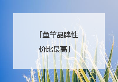 鱼竿品牌性价比最高
