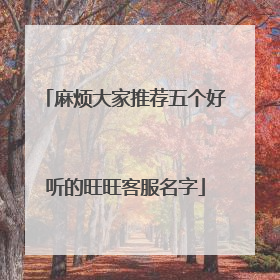 麻烦大家推荐五个好听的旺旺客服名字