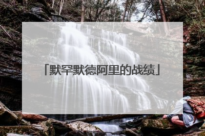 默罕默德阿里的战绩