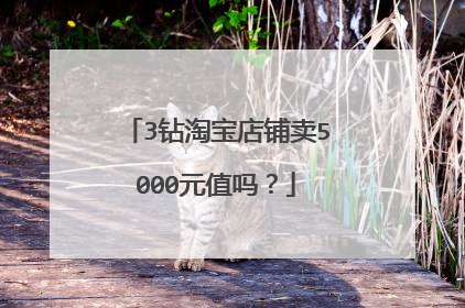 3钻淘宝店铺卖5000元值吗?