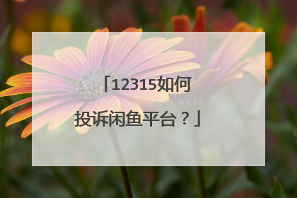 12315如何投诉闲鱼平台?