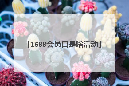 1688会员日是啥活动