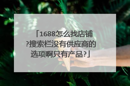 1688怎么找店铺?搜索栏没有供应商的选项啊只有产品?